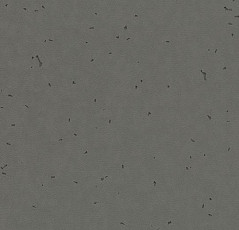 Линолеум Forbo Sphera Energetic 50215 ebony фото 1 | FLOORDEALER